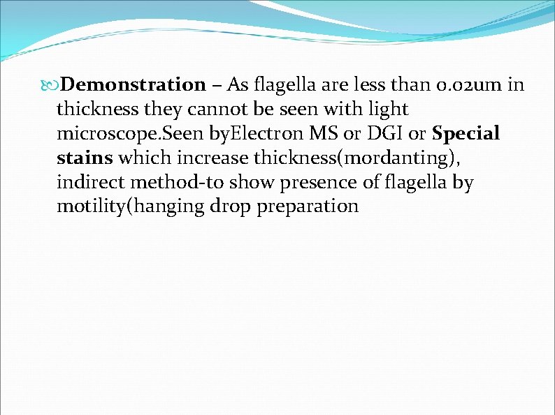 Demonstration – As flagella are less than 0. 02 um in thickness they Demonstration – As flagella are less than 0. 02 um in thickness they