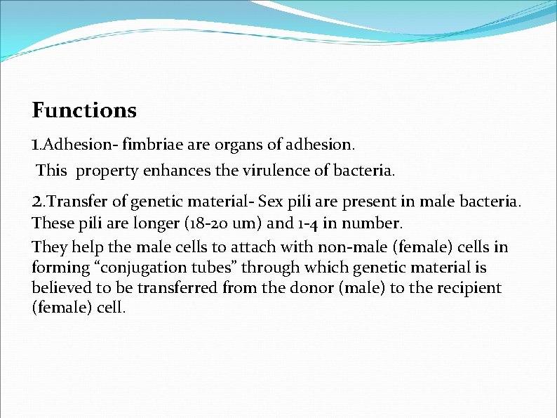 Functions 1. Adhesion- fimbriae are organs of adhesion. This property enhances the virulence of Functions 1. Adhesion- fimbriae are organs of adhesion. This property enhances the virulence of