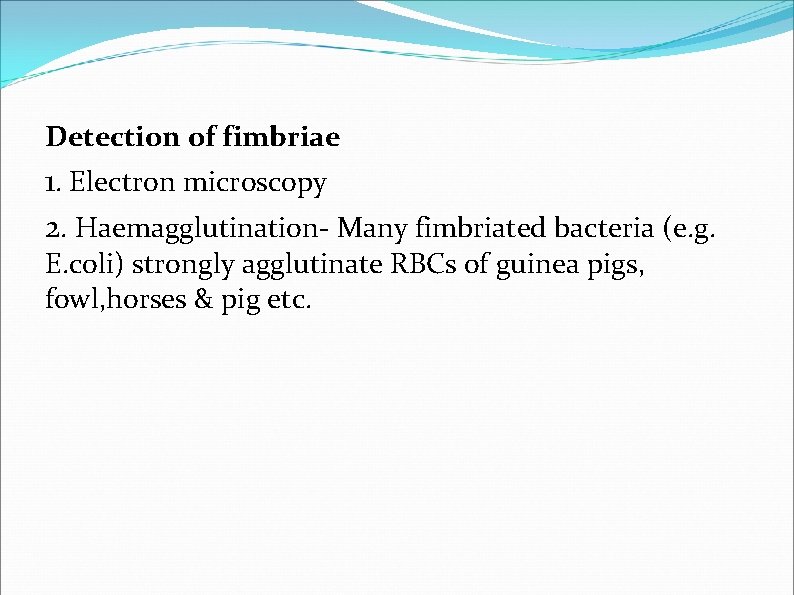Detection of fimbriae 1. Electron microscopy 2. Haemagglutination- Many fimbriated bacteria (e. g. E. Detection of fimbriae 1. Electron microscopy 2. Haemagglutination- Many fimbriated bacteria (e. g. E.