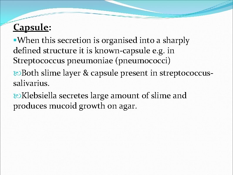 Capsule: §When this secretion is organised into a sharply defined structure it is known-capsule Capsule: §When this secretion is organised into a sharply defined structure it is known-capsule