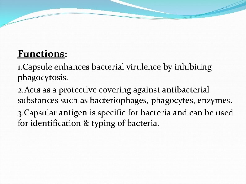 Functions: 1. Capsule enhances bacterial virulence by inhibiting phagocytosis. 2. Acts as a protective Functions: 1. Capsule enhances bacterial virulence by inhibiting phagocytosis. 2. Acts as a protective