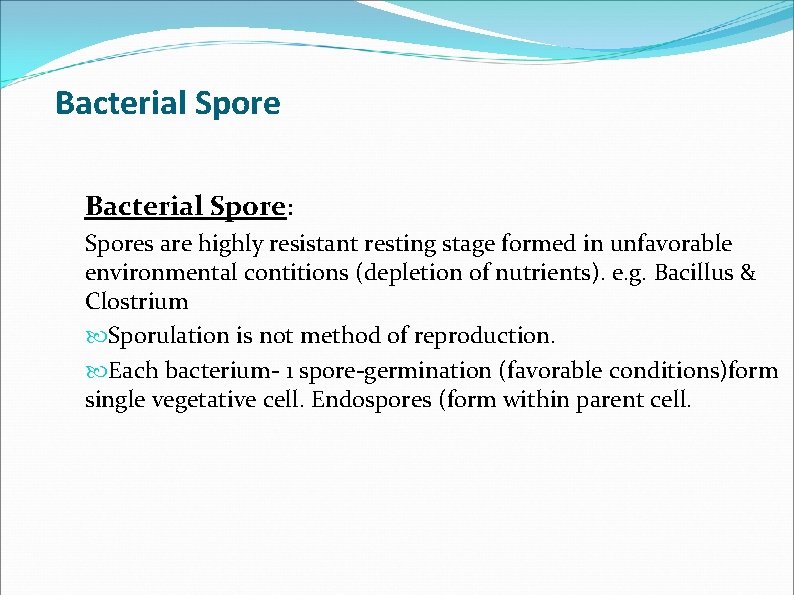 Bacterial Spore: Spores are highly resistant resting stage formed in unfavorable environmental contitions (depletion Bacterial Spore: Spores are highly resistant resting stage formed in unfavorable environmental contitions (depletion