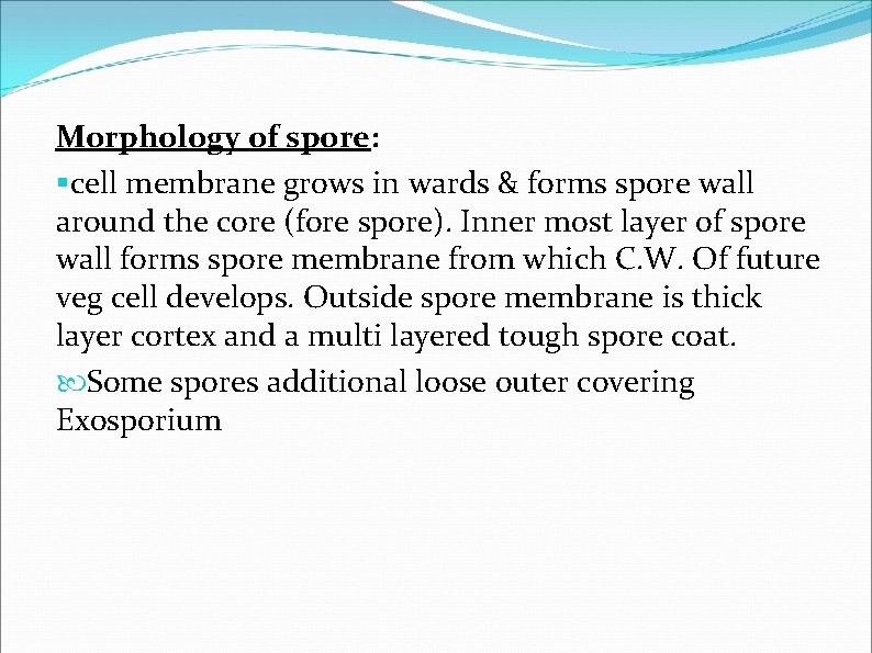 Morphology of spore: §cell membrane grows in wards & forms spore wall around the Morphology of spore: §cell membrane grows in wards & forms spore wall around the