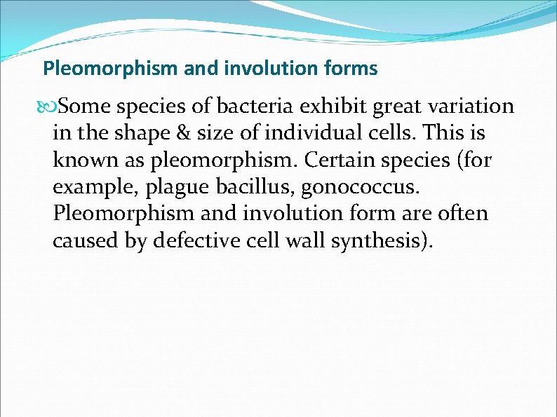 Pleomorphism and involution forms Some species of bacteria exhibit great variation in the shape Pleomorphism and involution forms Some species of bacteria exhibit great variation in the shape