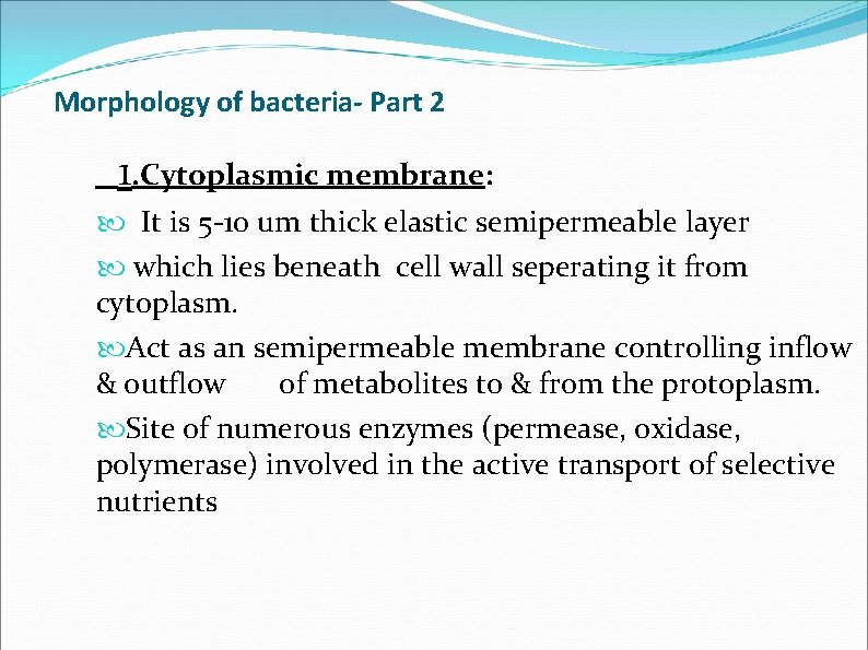 Morphology of bacteria- Part 2 1. Cytoplasmic membrane: It is 5 -10 um thick Morphology of bacteria- Part 2 1. Cytoplasmic membrane: It is 5 -10 um thick