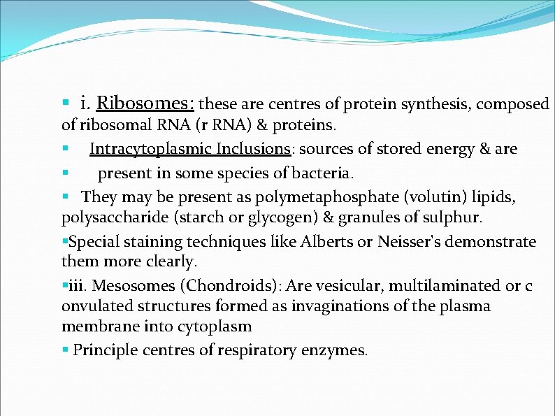 § i. Ribosomes: these are centres of protein synthesis, composed of ribosomal RNA (r § i. Ribosomes: these are centres of protein synthesis, composed of ribosomal RNA (r