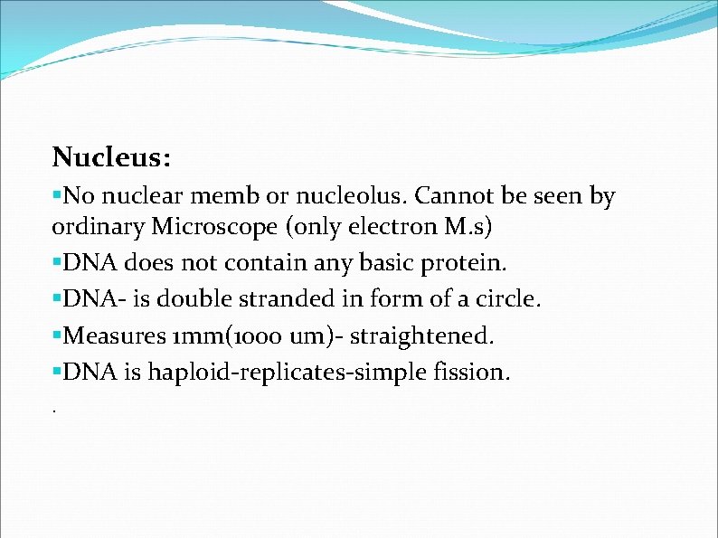 Nucleus: §No nuclear memb or nucleolus. Cannot be seen by ordinary Microscope (only electron Nucleus: §No nuclear memb or nucleolus. Cannot be seen by ordinary Microscope (only electron