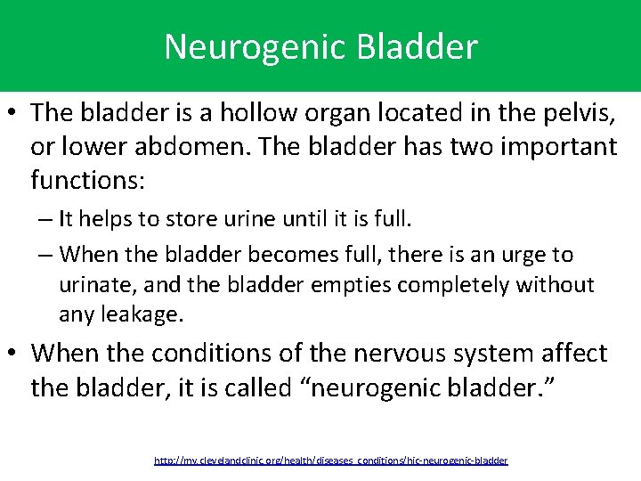 Neurogenic Bladder • The bladder is a hollow organ located in the pelvis, or