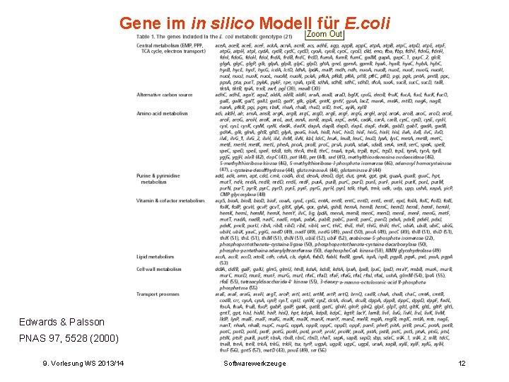 Gene im in silico Modell für E. coli Edwards & Palsson PNAS 97, 5528