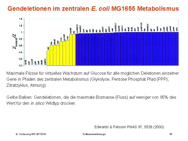 Gendeletionen im zentralen E. coli MG 1655 Metabolismus Maximale Flüsse für virtuelles Wachstum auf