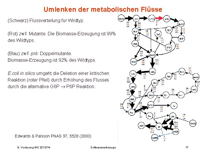 Umlenken der metabolischen Flüsse (Schwarz) Flussverteilung für Wildtyp. (Rot) zwf- Mutante. Die Biomasse-Erzeugung ist
