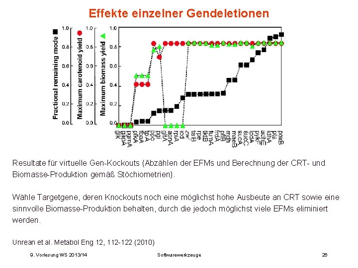 Effekte einzelner Gendeletionen Resultate für virtuelle Gen-Kockouts (Abzählen der EFMs und Berechnung der CRT-