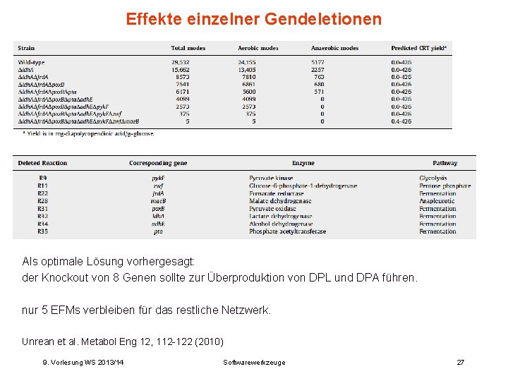 Effekte einzelner Gendeletionen Als optimale Lösung vorhergesagt: der Knockout von 8 Genen sollte zur