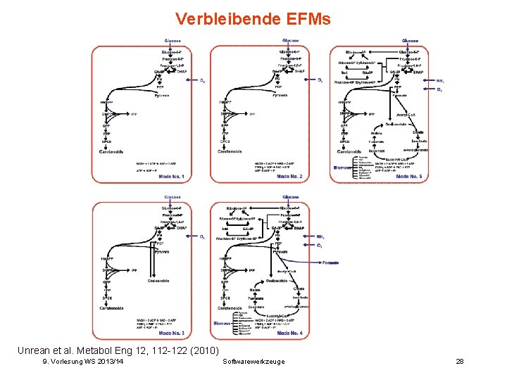 Verbleibende EFMs Bioinformatics III 28 Unrean et al. Metabol Eng 12, 112 -122 (2010)
