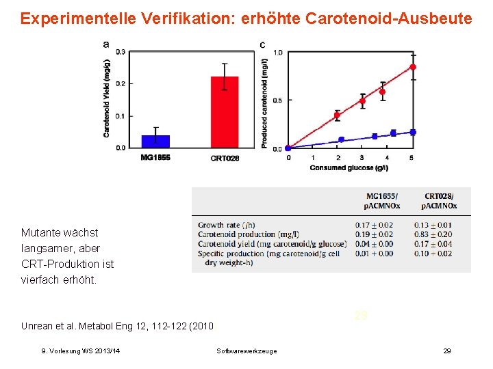 Experimentelle Verifikation: erhöhte Carotenoid-Ausbeute Mutante wächst langsamer, aber CRT-Produktion ist vierfach erhöht. Unrean et