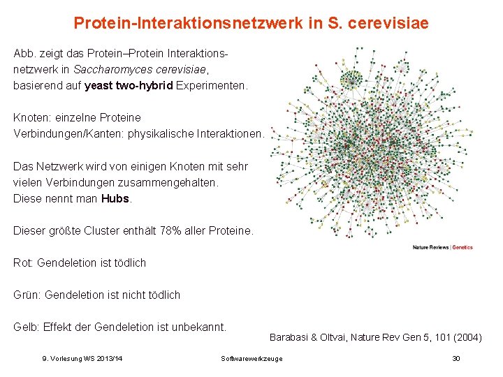 Protein-Interaktionsnetzwerk in S. cerevisiae Abb. zeigt das Protein–Protein Interaktionsnetzwerk in Saccharomyces cerevisiae, basierend auf