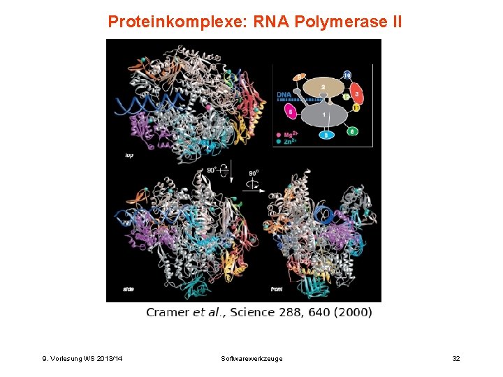Proteinkomplexe: RNA Polymerase II 9. Vorlesung WS 2013/14 Softwarewerkzeuge 32 