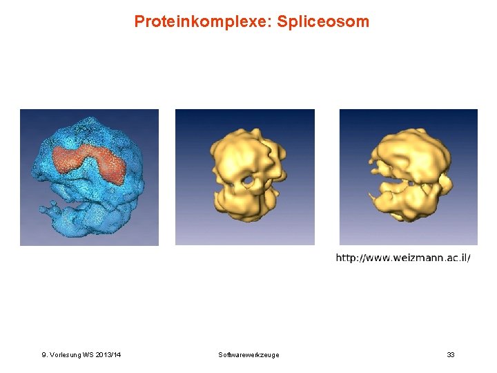 Proteinkomplexe: Spliceosom 9. Vorlesung WS 2013/14 Softwarewerkzeuge 33 