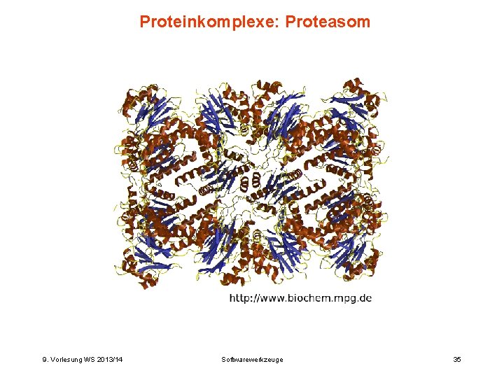 Proteinkomplexe: Proteasom 9. Vorlesung WS 2013/14 Softwarewerkzeuge 35 