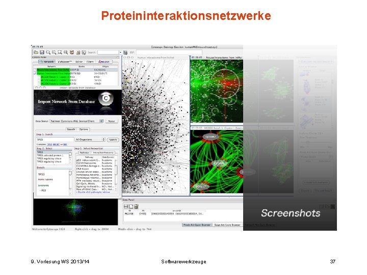 Proteininteraktionsnetzwerke 9. Vorlesung WS 2013/14 Softwarewerkzeuge 37 