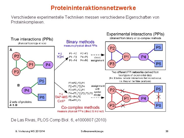 Proteininteraktionsnetzwerke Verschiedene experimentelle Techniken messen verschiedene Eigenschaften von Proteinkomplexen. De Las Rivas, PLOS Comp