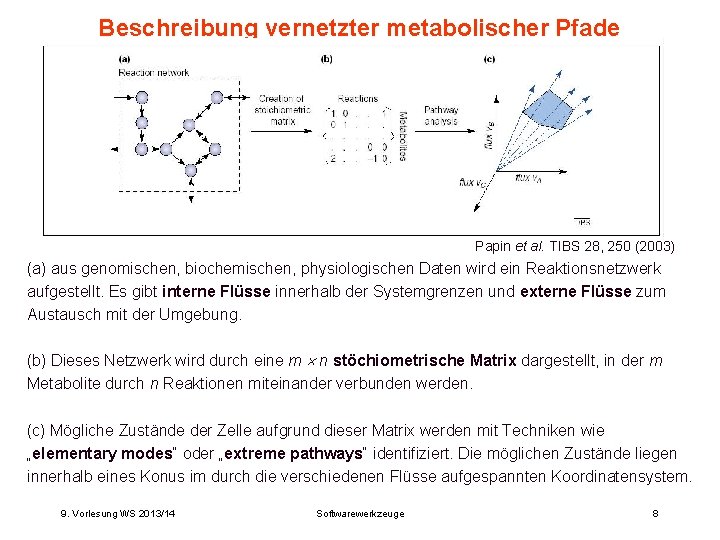 Beschreibung vernetzter metabolischer Pfade Papin et al. TIBS 28, 250 (2003) (a) aus genomischen,