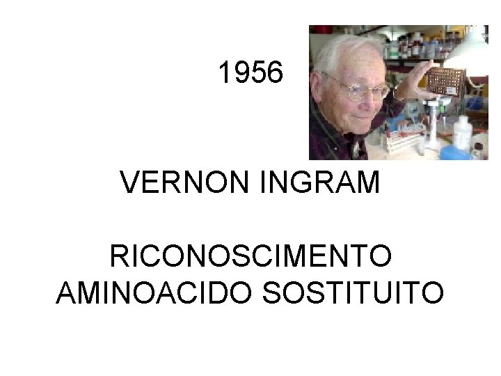 1956 VERNON INGRAM RICONOSCIMENTO AMINOACIDO SOSTITUITO 