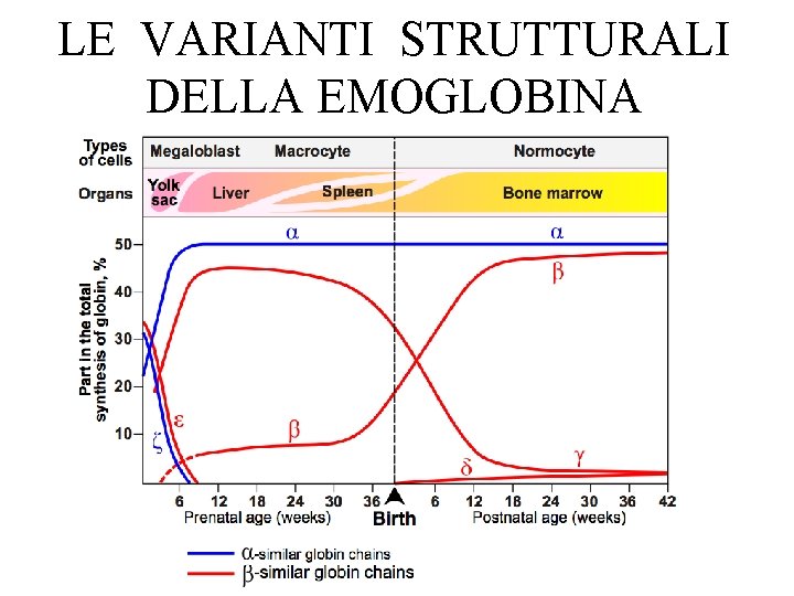 LE VARIANTI STRUTTURALI DELLA EMOGLOBINA LE VARIANTI STRUTTURALI DELLA EMOGLOBINA