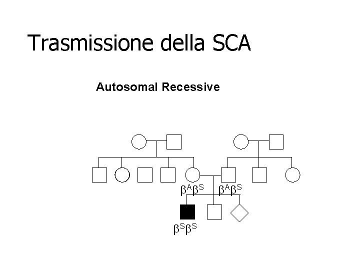 Trasmissione della SCA Autosomal Recessive b. Ab. S b. Ab. S 