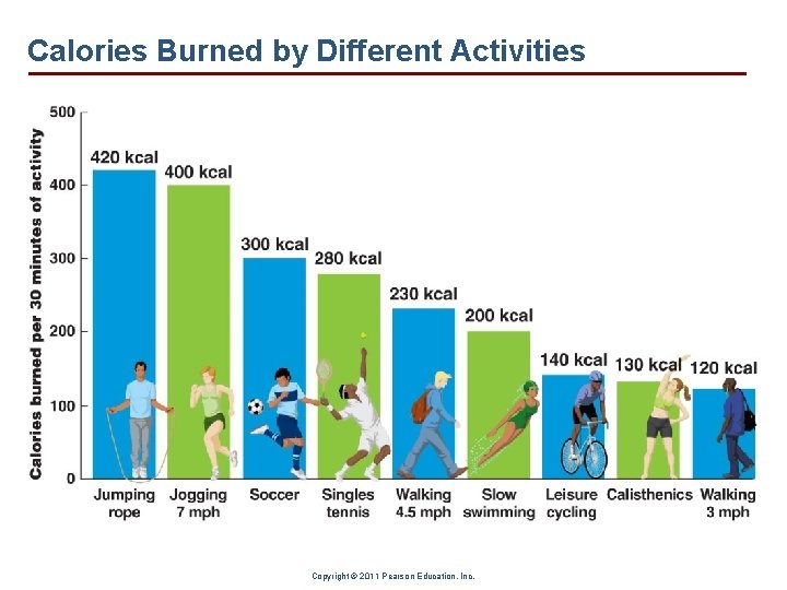 Calories Burned by Different Activities Copyright © 2011 Pearson Education, Inc. Calories Burned by Different Activities Copyright © 2011 Pearson Education, Inc.