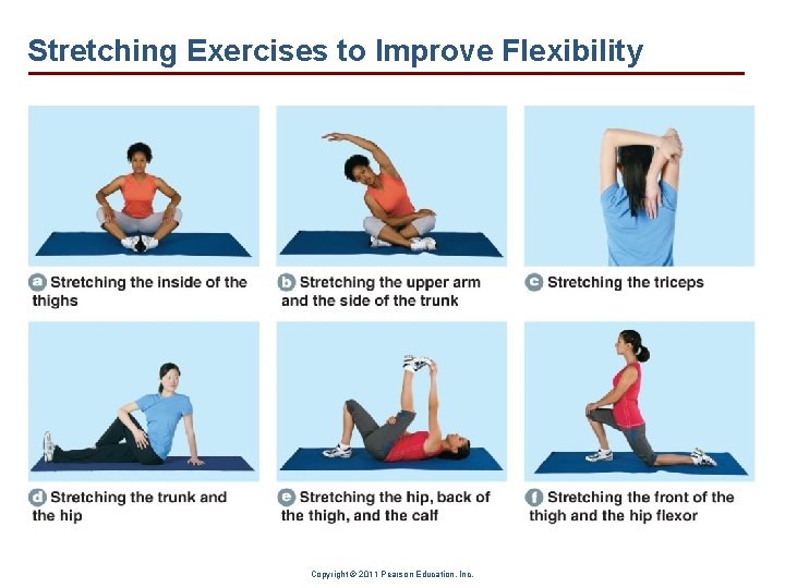 Stretching Exercises to Improve Flexibility Copyright © 2011 Pearson Education, Inc. 