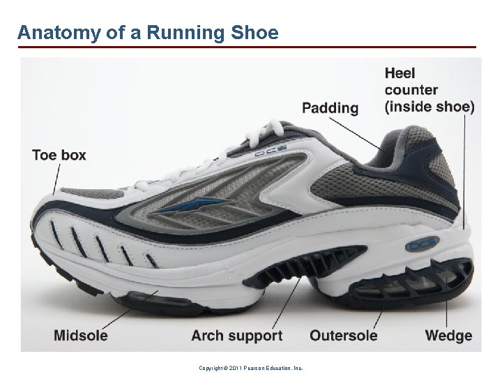 Anatomy of a Running Shoe Copyright © 2011 Pearson Education, Inc. 