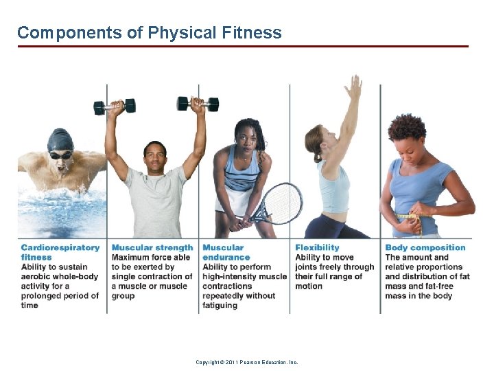 Components of Physical Fitness Copyright © 2011 Pearson Education, Inc. 