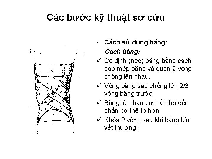 Các bước kỹ thuật sơ cứu • Cách sử dụng băng: Cách băng: ü Các bước kỹ thuật sơ cứu • Cách sử dụng băng: Cách băng: ü
