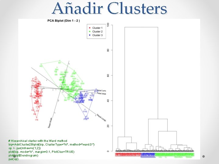 Añadir Clusters # Hierarchical cluster with the Ward method bip=Add. Cluster 2 Biplot(bip, Cluster.