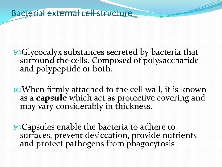 Bacterial external cell structure Glycocalyx substances secreted by bacteria that surround the cells. Composed