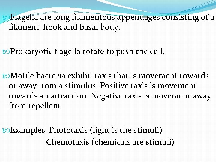  Flagella are long filamentous appendages consisting of a filament, hook and basal body.