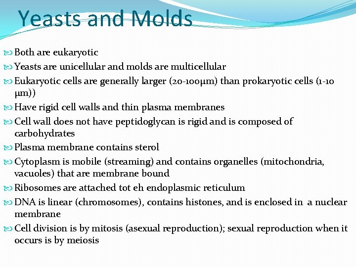 Yeasts and Molds Both are eukaryotic Yeasts are unicellular and molds are multicellular Eukaryotic