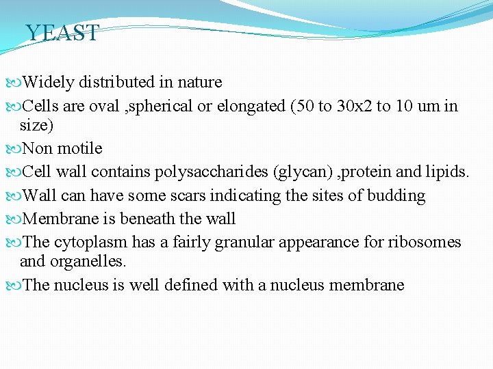 YEAST Widely distributed in nature Cells are oval , spherical or elongated (50 to