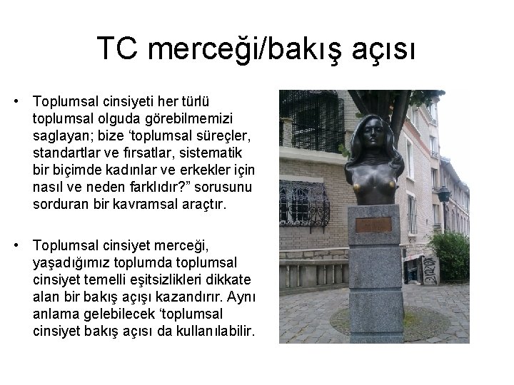 TC merceği/bakış açısı • Toplumsal cinsiyeti her türlü toplumsal olguda görebilmemizi saglayan; bize ‘toplumsal TC merceği/bakış açısı • Toplumsal cinsiyeti her türlü toplumsal olguda görebilmemizi saglayan; bize ‘toplumsal