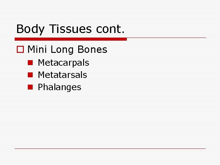 Body Tissues cont. o Mini Long Bones n Metacarpals n Metatarsals n Phalanges 