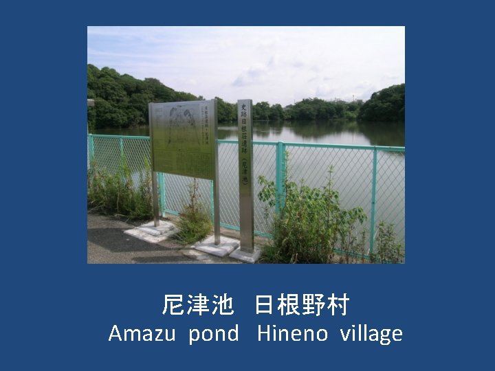 尼津池　日根野村 Amazu pond　Hineno village 