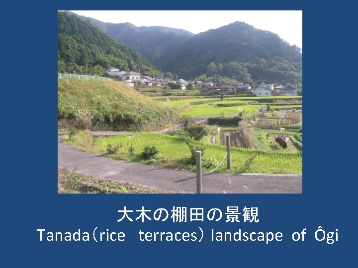 大木の棚田の景観 Tanada（rice terraces） landscape of Ôgi 