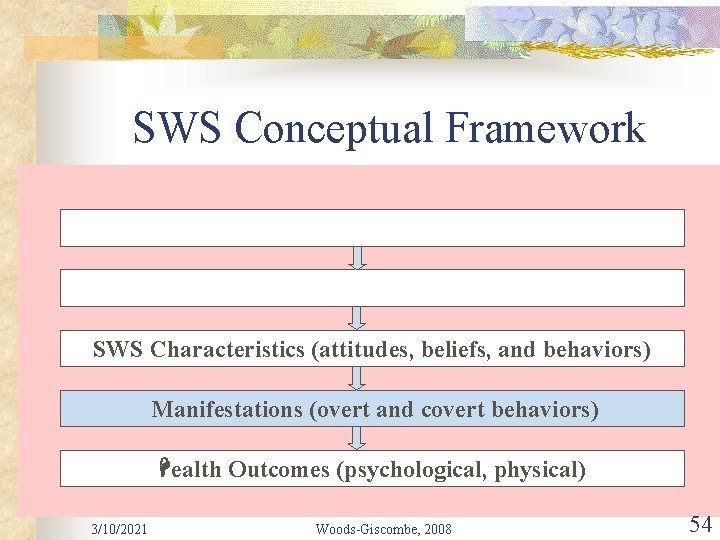 SWS Conceptual Framework SWS Characteristics (attitudes, beliefs, and behaviors) Manifestations (overt and covert behaviors)