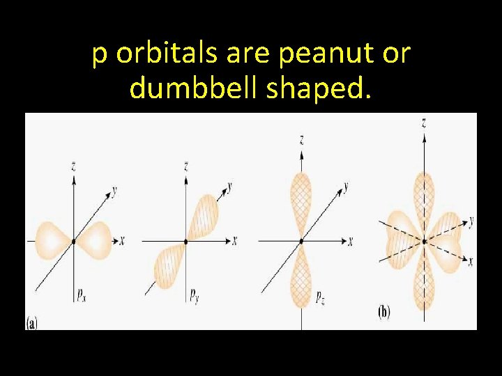 p orbitals are peanut or dumbbell shaped. 
