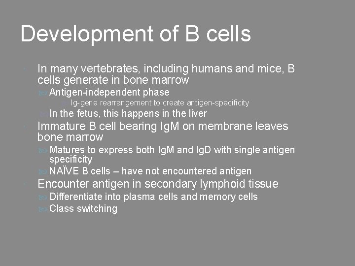 Development of B cells In many vertebrates, including humans and mice, B cells generate