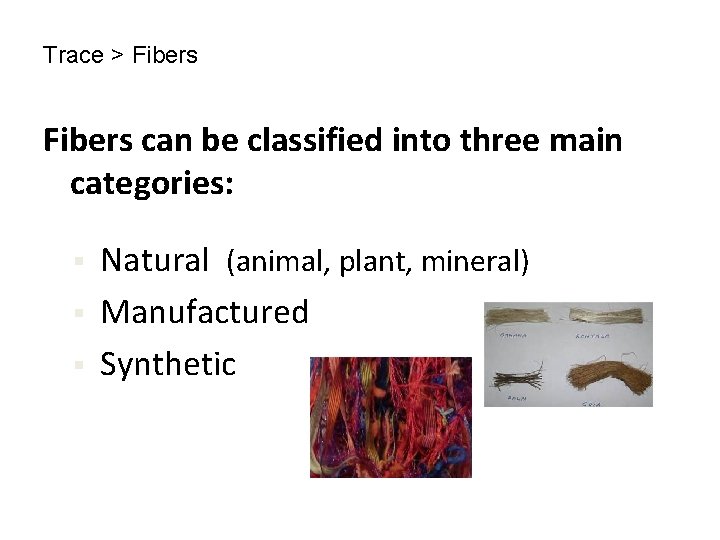 Trace > Fibers can be classified into three main categories: § § § Natural