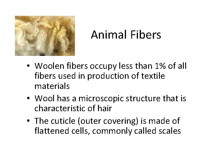 Animal Fibers • Woolen fibers occupy less than 1% of all fibers used in