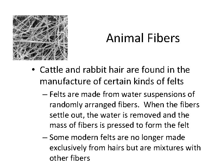 Animal Fibers • Cattle and rabbit hair are found in the manufacture of certain