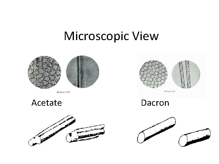 Microscopic View Acetate Dacron 